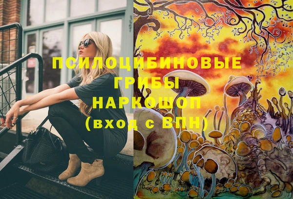 экстази Медвежьегорск