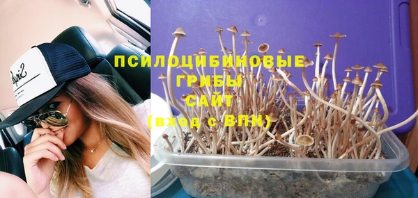 эйфоретик Майский
