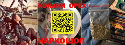 стафф Бийск