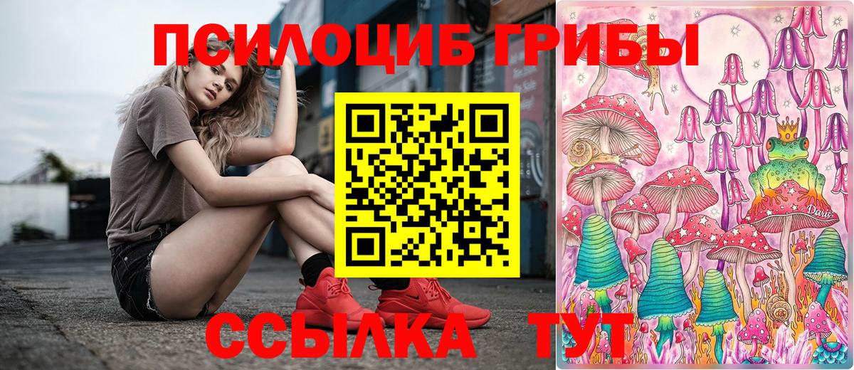 Галлюциногенные грибы прущие грибы Лыткарино