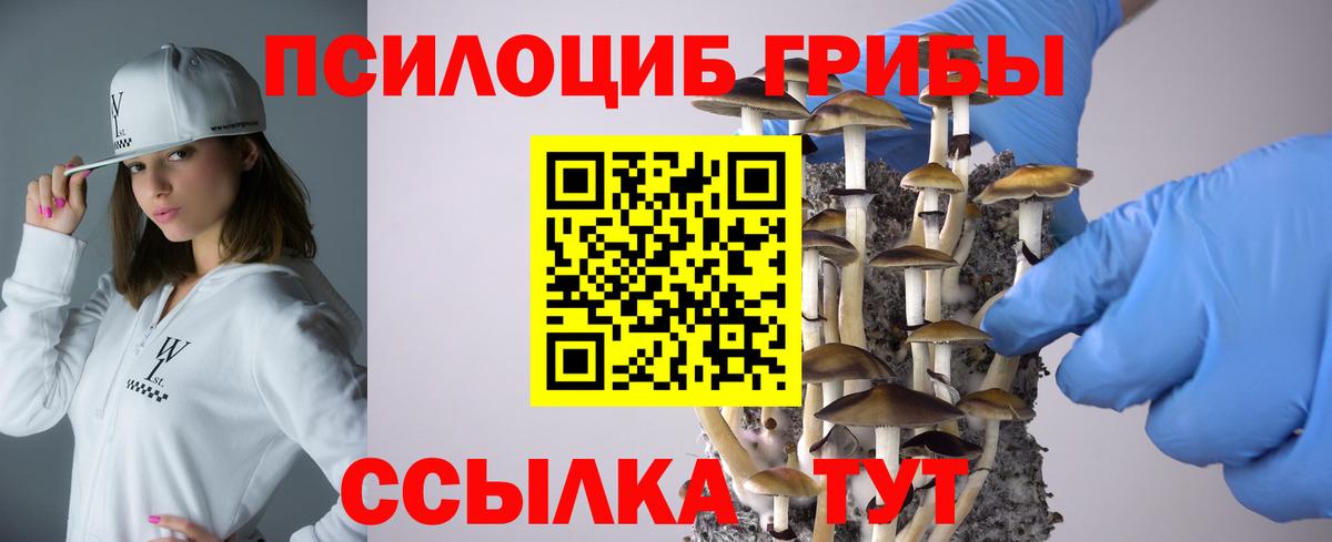 Псилоцибиновые грибы GOLDEN TEACHER  Вход с VPN  продажа наркотиков  Лыткарино 